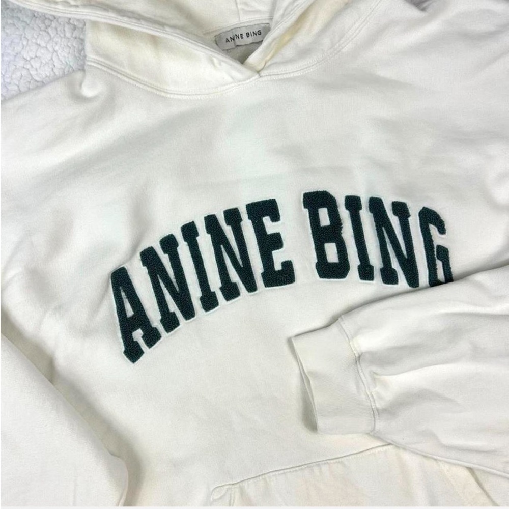 Anine Bing Hoodie